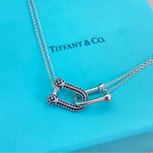 Tiffany & Co. Silver Necklace with Dark Accents
